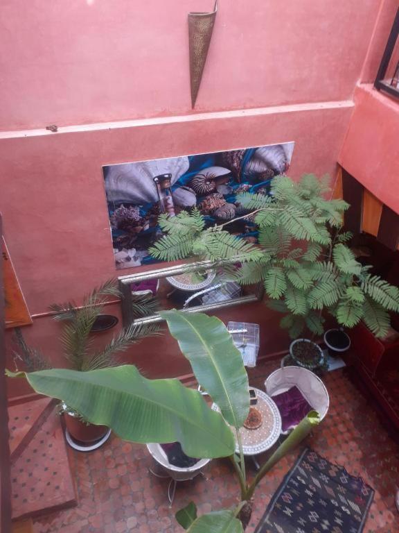 Riad Hanafi Marrakesh Exteriör bild
